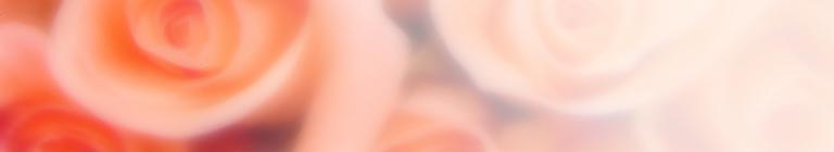 gia sư SV
