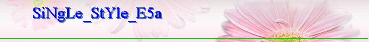 SiNgLe_StYle_E5a