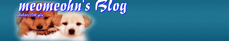 meomeohn's Blog