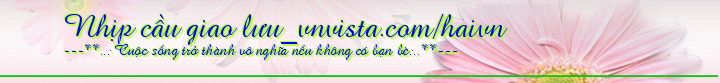 Nhịp cầu giao lưu_vnvista.com/haivn