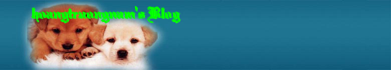hoangtruongnam's Blog