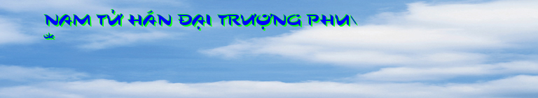 NAM TỬ HÁN ĐẠI TRƯỢNG PHU\
