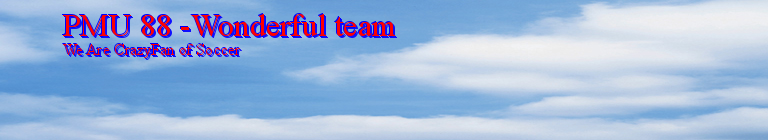 PMU 88 -Wonderful team
