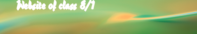 Website of class 8/1