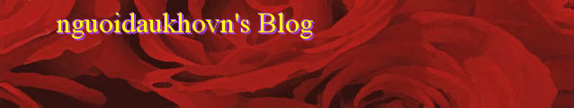 nguoidaukhovn's Blog