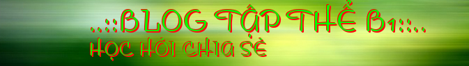 ..::BLOG TẬP THỂ B1::..