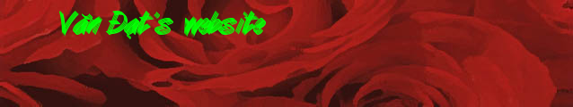 Văn Đạt's website