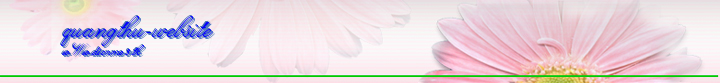 quangthu-website