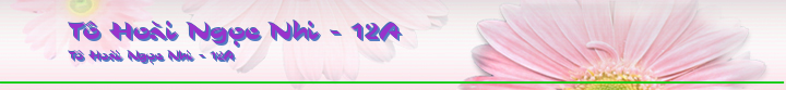 Tô Hoài Ngọc Nhi - 12A
