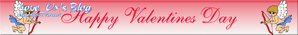 Love_Ox's Blog