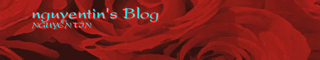 nguyentin's Blog