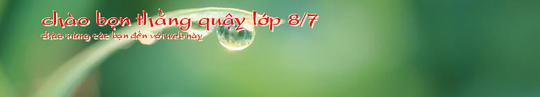 chào bọn thằng quậy lớp 8/7