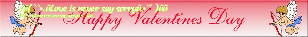 º°(¯`’•.¸Love is never say sorry¸.•’´¯)°º