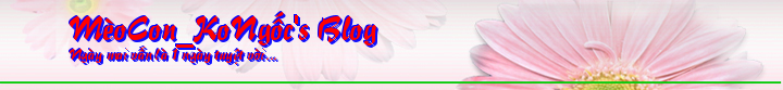 MèoCon_KoNgốc's Blog
