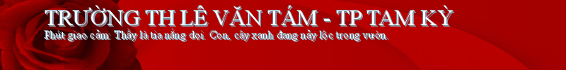 TRƯỜNG TH LÊ VĂN TÁM - TP TAM KỲ