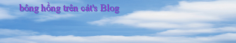 bông hồng trên cát's Blog