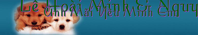 Lê Hoài Minh & Nguyễn Ngọc Quyên