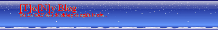 [T]o[N]y Blog