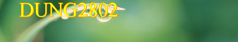 dung2802