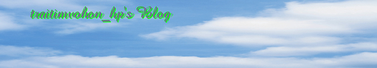 traitimvohon_hp's Blog
