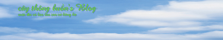 cây thông buồn's Blog