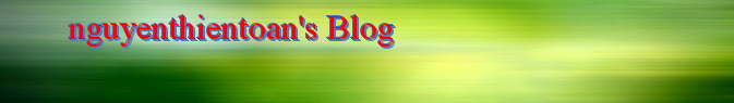 toàn phụng Blog