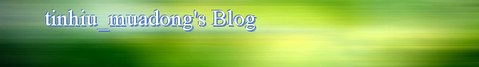 tinhiu_muadong's Blog