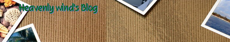 Heavenly wind's Blog