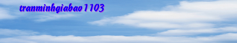 tranminhgiabao1103