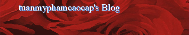 tuanmyphamcaocap's Blog