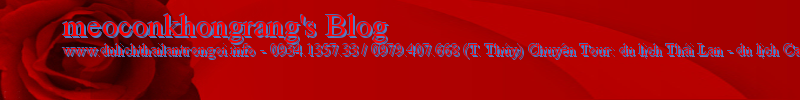 meoconkhongrang's Blog