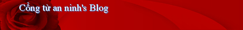 Cổng từ an ninh's Blog