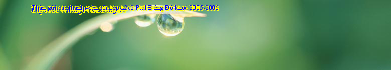 Lớp 12C2 Trường PTDL Đông Đô