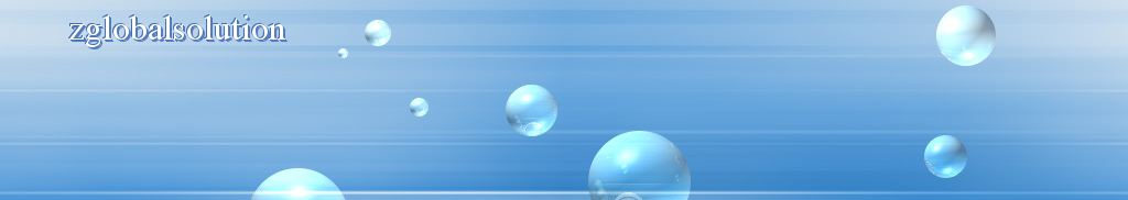 zglobalsolution