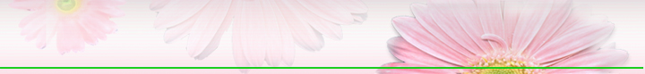 hoahongden_757's Blog
