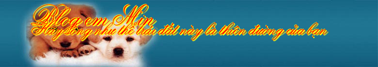 Blog em Min