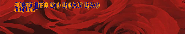 TINH YEU KO HOAN HAO