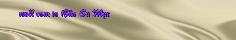 Bão Sa Mạc