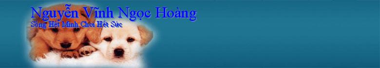 Nguyễn Vĩnh Ngọc Hoàng