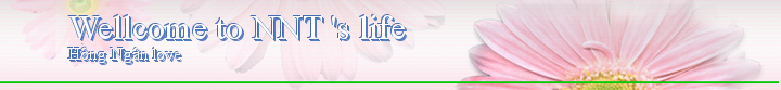Wellcome to NNT 's life