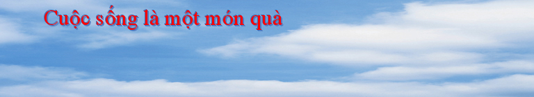 Cuộc sống là một món quà