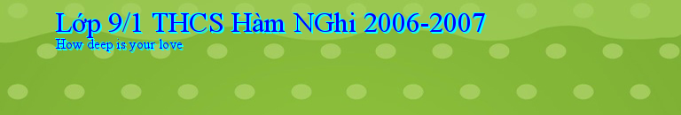 Lớp 9/1 THCS Hàm NGhi 2006-2007