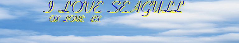          I  LOVE  SEAGULL