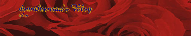 doanthiensau's Blog