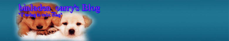 binladen_carry's Blog