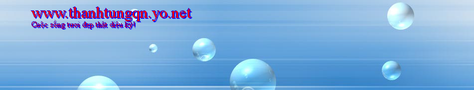 www.thanhtungqn.yo.net