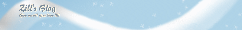 Zill's Blog