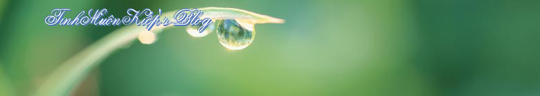 TinhMuônKiếp's Blog