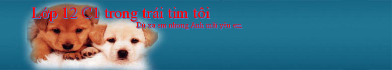 Lớp 12 C1 trong trái tim tôi