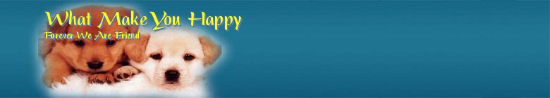 What Make You Happy
